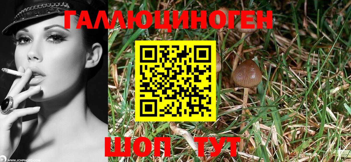 цены   Вход с VPN  Шарыпово  Галлюциногенные грибы MAGIC MUSHROOMS 