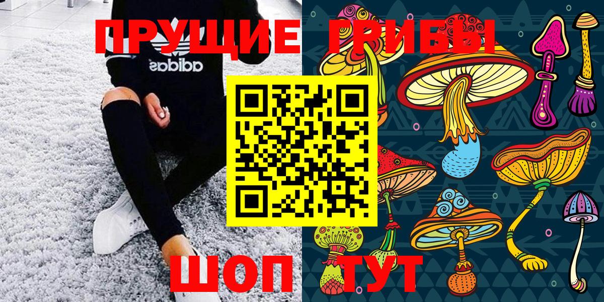 Псилоцибиновые грибы Psilocybine cubensis Шарыпово